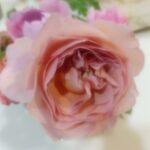 ハーブ教室のクラフト