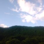 随筆 191